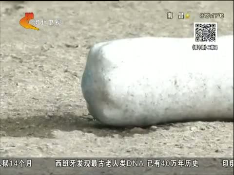 干燥剂放入保温杯会爆炸 是真的吗?