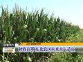 冰岛-冰与火的礼赞