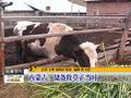 秋收在即东北农区未来天气适宜