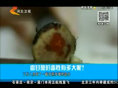 发红发霉甘蔗 吃后可能成植物人 这是真的吗?