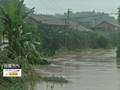 遭遇连阴雨渭南果业秋粮受影响