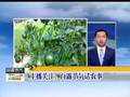 郑州连阴雨高墙倒塌幼儿园“漏底”