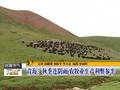 “凤凰”来袭福建边防部门全力防范