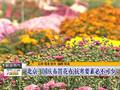 吉林多地降雪最低气温零下3℃