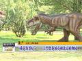 走进额尔古纳守好这片湿地