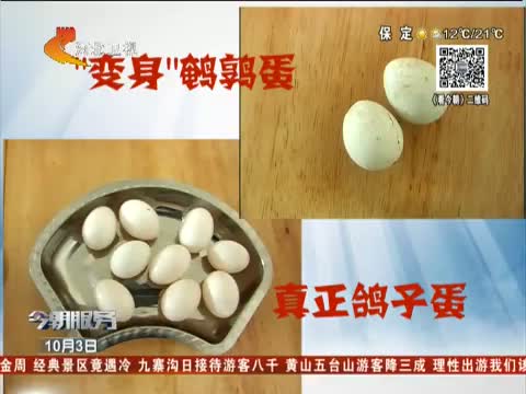 谣言粉碎机 五分钟鹌鹑蛋变身鸽子蛋 是真的吗?