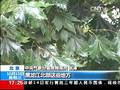 伊朗西部发生5.6级地震