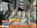 求真大师：市场上有“染色”黄花鱼出售 是真的吗?