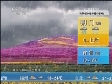 午间天气预报