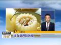 霜降节气至湖南气温较常年偏高