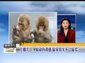 贵州强降雨致51人被困