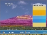 午间天气预报