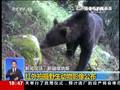 山东多地大雾弥漫交通一度受阻