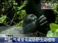 天津今冬雾霾天气多发