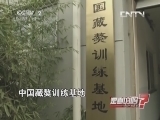 孩子与狗直视更容易遭到狗袭击?