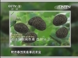 泰国黑桑果是纯天然染发剂吗?