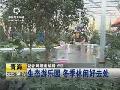 阳台植物新品种盆栽草莓进入百姓家