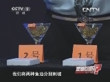 用塑料泡沫可以鉴别鱼油的优劣?