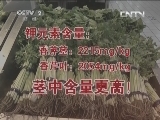 芹菜叶比芹菜茎更有营养?