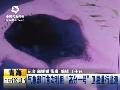 渔猎中国查干湖严冬里的自然馈赠