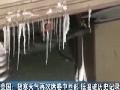 北疆迎来大雪天气