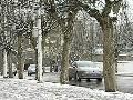 韩国暴雪除雪没有下雪快