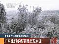 暴风雪再袭纽约交通全面受阻