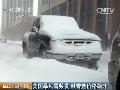 车顶雪人组队卖萌南方“卖雪人”生意火爆