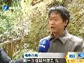 低温雨雪难消元宵前持续“冰冻”