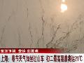 美国南部多州遭遇暴风雪天气