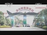 黑天鹅给锦鲤喂食?