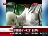 宠物医院的秘密 宠物医院也会“小病大治”是真的吗?