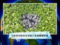天津地铁实施冬运方案