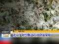北京初雪大风降温紧随
