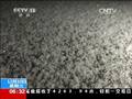 隐藏在人体内的暖气开关