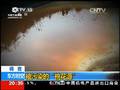 江西：鄱阳湖迎来上百种珍稀候鸟越冬
