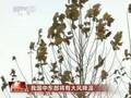 实拍韩军舰访问俄罗斯遇严寒变成雪雕