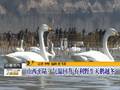 黑龙江走进首条寒地高铁