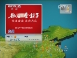 晚间天气预报