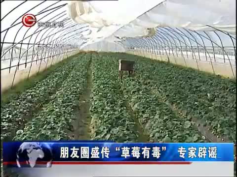 朋友圈盛传“草莓有毒”真的吗?