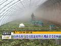 湖南：降温降水来袭寒意加重