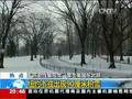 “快船低压冷空气”导致美国暴雪肆虐