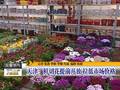 长沙：前期气温偏高樱花悄然开放