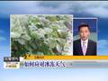 保加利亚暴雨引发洪灾