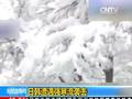 黑龙江赏北疆雪景