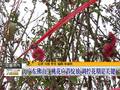 华南地区百个火车站开通免费Wi-Fi方便春运旅客出行
