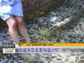 北京御汤山温泉世外桃源享“私汤”