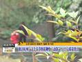 主播关注：如何快速破解“节后综合征”