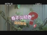变色龙蒙住眼睛还能变色?