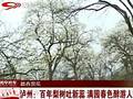 沙尘天气小心护眼